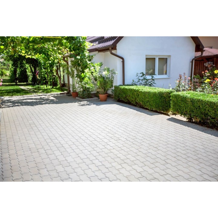 Frunza F1