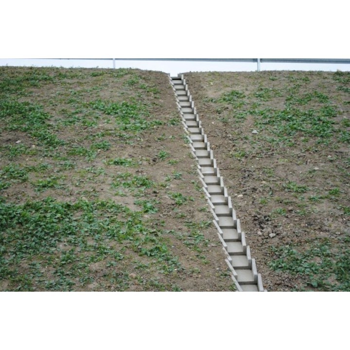 Element prefabricat pentru casiuri