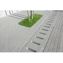Placa rigola carosabila PRC3 nearmata