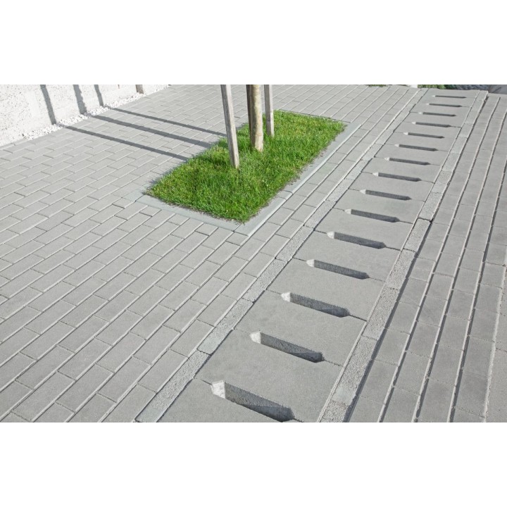 Placa rigola carosabila PRC3 nearmata