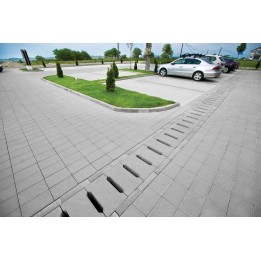 Rigola carosabila R3