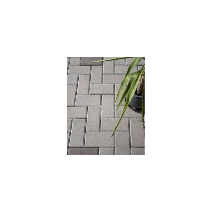 Rigola R12
